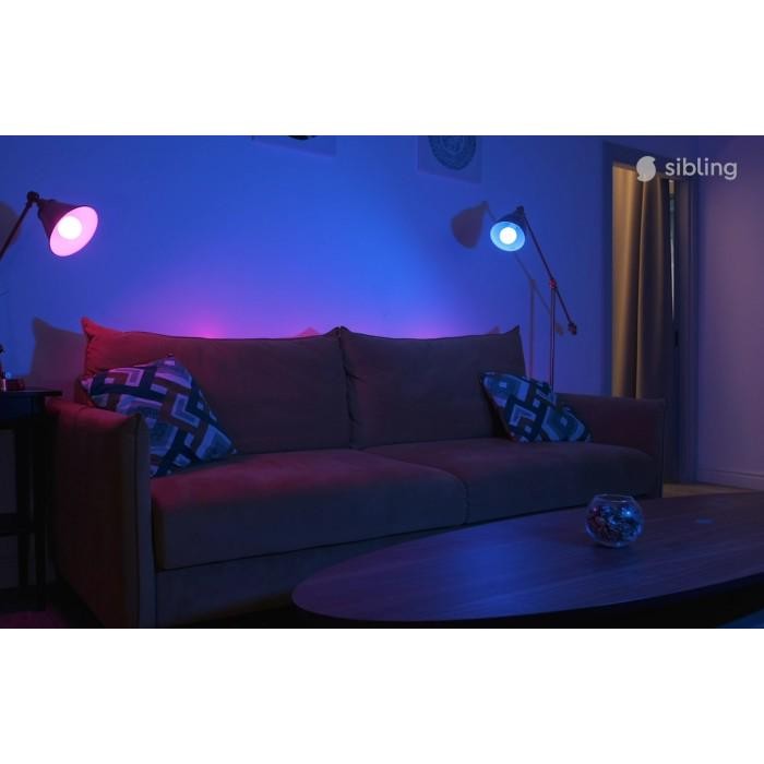 Детальное изображение товара "Wi-FI лампа Sibling Powerlight-L" из каталога оборудования для видеонаблюдения