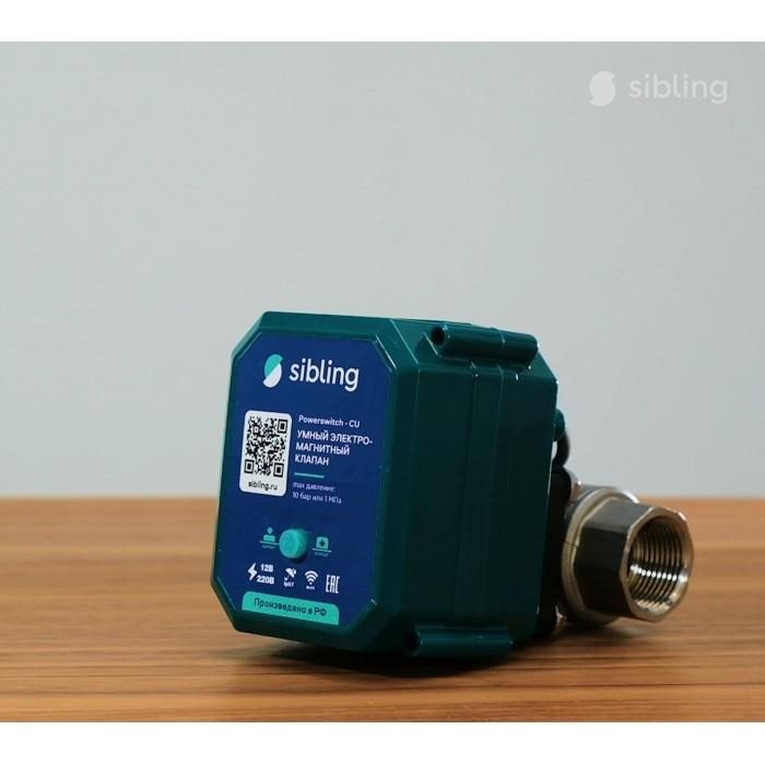 Детальное изображение товара "Система контроля протечек Sibling Powernet-FR" из каталога оборудования для видеонаблюдения